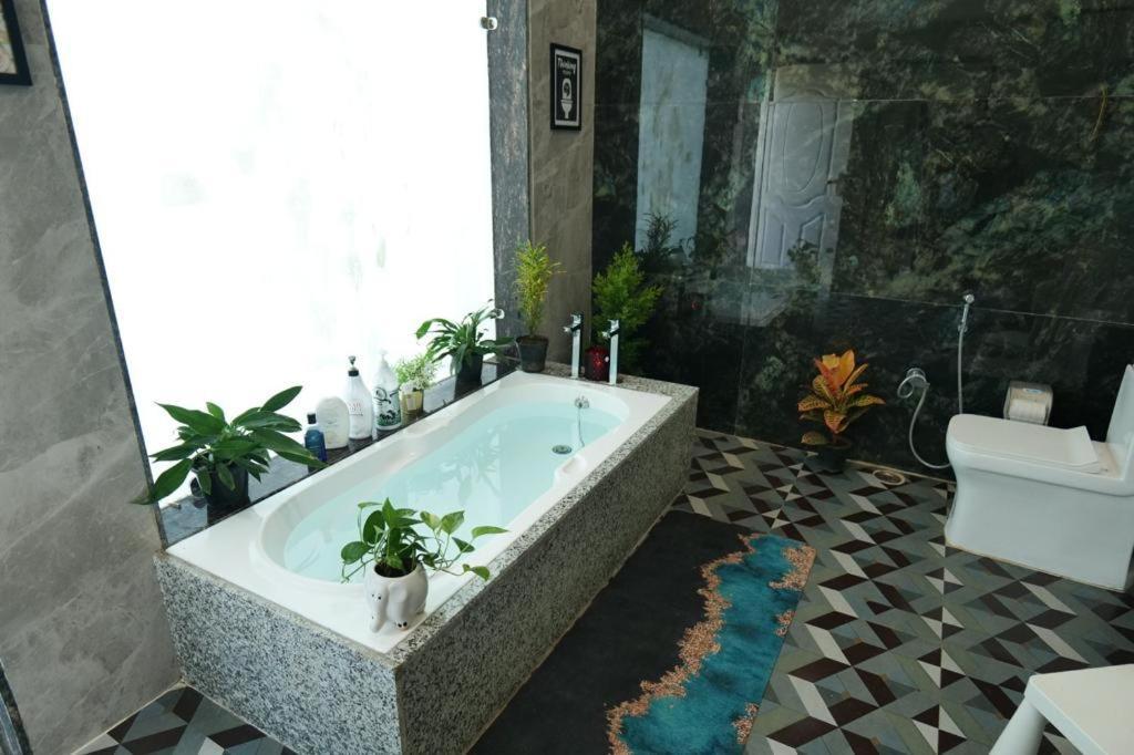 Jewel Of Jungle Apartment Tāla Exterior foto